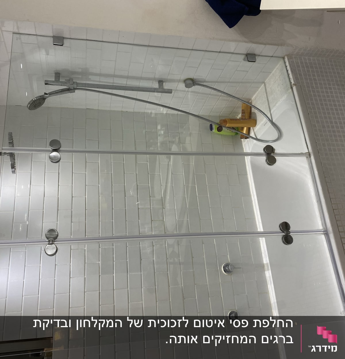 מקלחת עם דלת זכוכית, ראש מקלחת ובקבוקי שמפו